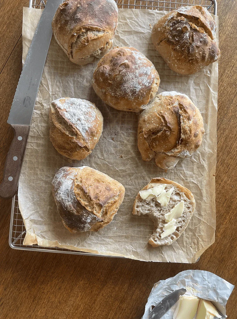 Surdegsbullar